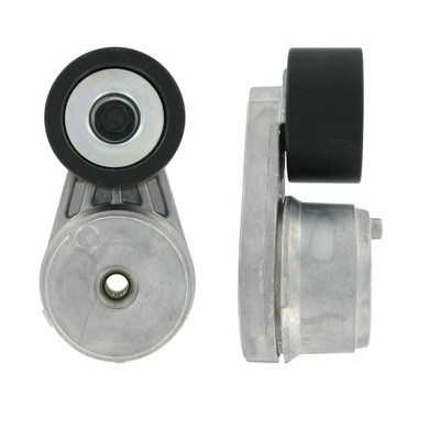 RIEMSPANNER